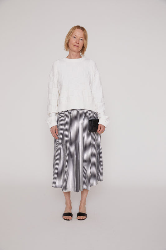 Striped Pleated Skirt in Black and White