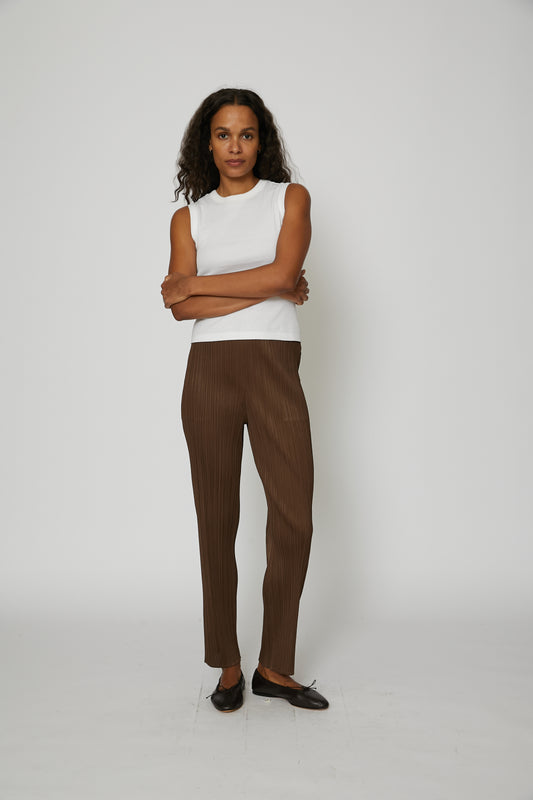 New Colorful Basics Pants in Brown